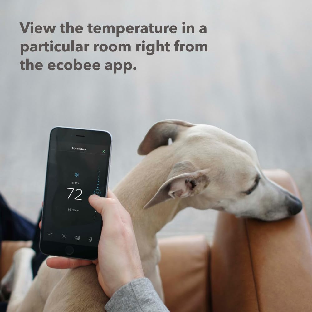 SmartSensor 2-Pack - Temperatu - Home Security Wireless review and price