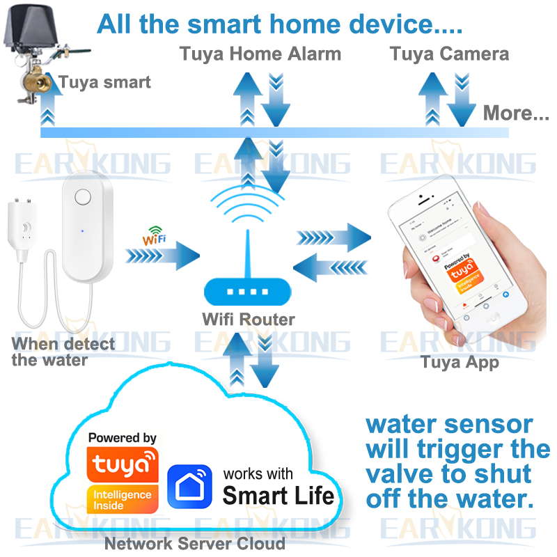 Tuya WiFi Smart Water Leak Sen - Home Security App review and price